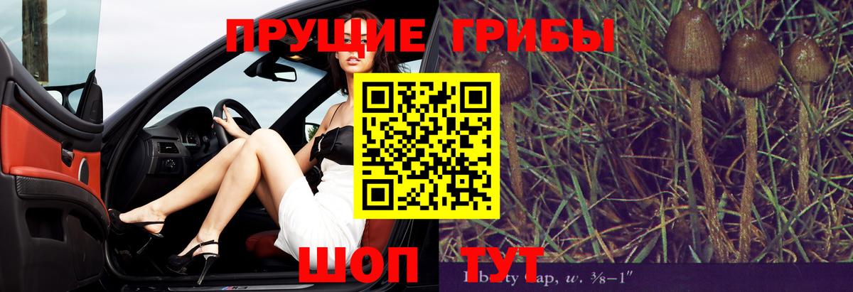 Иркутск  Галлюциногенные грибы Psilocybine cubensis  Вход с VPN 