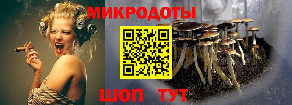 Галлюциногенные грибы MAGIC MUSHROOMS Иркутск